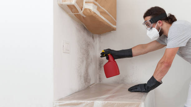 Professional Attic Mold Removal technician working in Worcester, MA