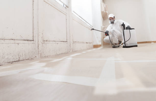 24/7 Emergency Attic Mold Removal experts in Worcester, MA